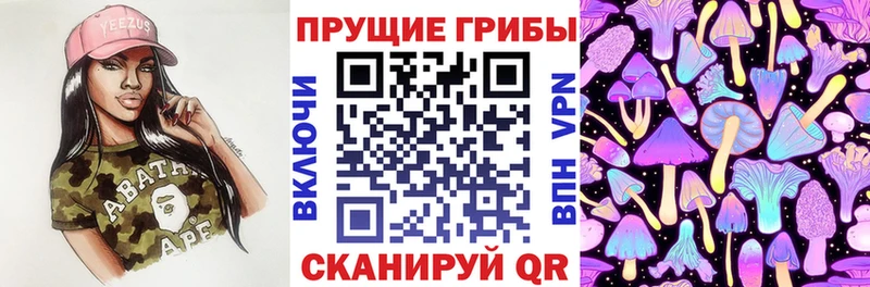 Псилоцибиновые грибы Psilocybe  Архангельск 